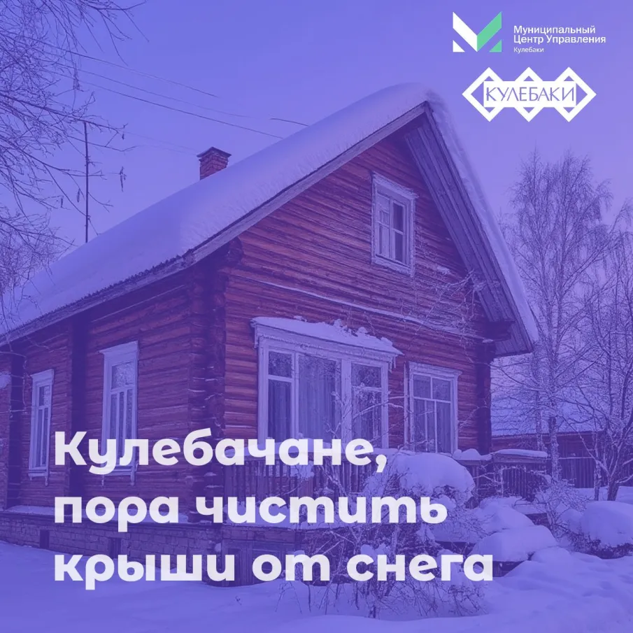 Согласно прогнозу погоды, начинается оттепель. Это значит, что снег на крышах наших домов, которого уже накопилось немало, станет тяжелее